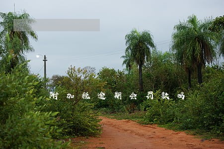 附加税逾期会罚款吗 附加税逾期会罚款吗