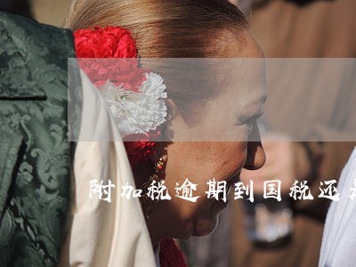 附加税逾期到国税还是地税 附加税逾期到国税还是地税