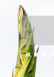 附加税逾期可以网上办理吗 附加税逾期可以网上办理吗