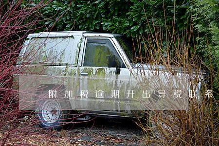 附加税逾期开出导税联系单 附加税逾期开出导税联系单