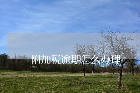 附加税逾期怎么办理 附加税逾期怎么办理