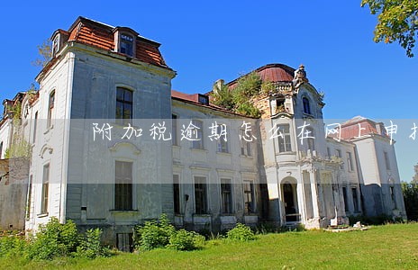 附加税逾期怎么在网上申报 附加税逾期怎么在网上申报