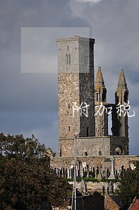 附加税逾期怎么罚款 附加税逾期怎么罚款