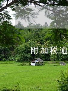 附加税逾期扣款怎么办 附加税逾期扣款怎么办