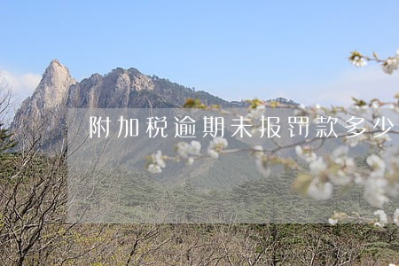 附加税逾期未报罚款多少 附加税逾期未报罚款多少