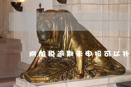 附加税逾期未申报可以补报吗 附加税逾期未申报可以补报吗