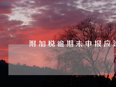 附加税逾期未申报应该怎么办 附加税逾期未申报应该怎么办
