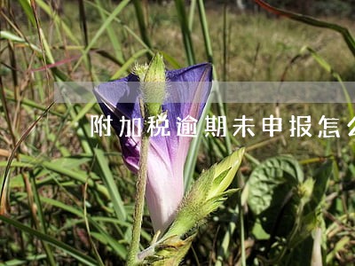 附加税逾期未申报怎么补报 附加税逾期未申报怎么补报