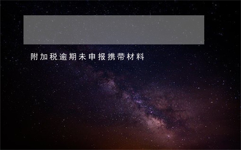 附加税逾期未申报携带材料 附加税逾期未申报携带材料