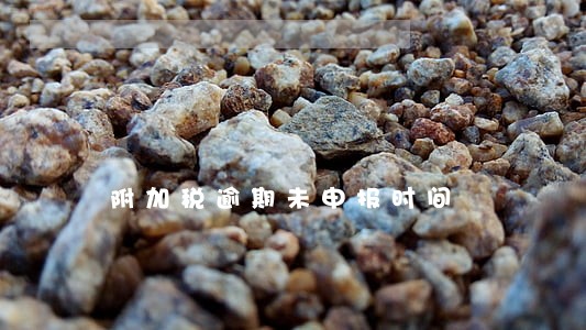 附加税逾期未申报时间 附加税逾期未申报时间