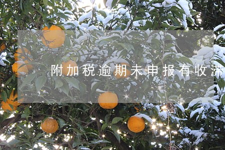 附加税逾期未申报有收滞纳金吗 附加税逾期未申报有收滞纳金吗