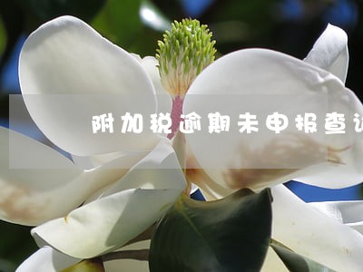 附加税逾期未申报查询 附加税逾期未申报查询