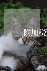 附加税逾期未申报滞纳金 附加税逾期未申报滞纳金