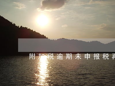 附加税逾期未申报税再怎么补报 附加税逾期未申报税再怎么补报