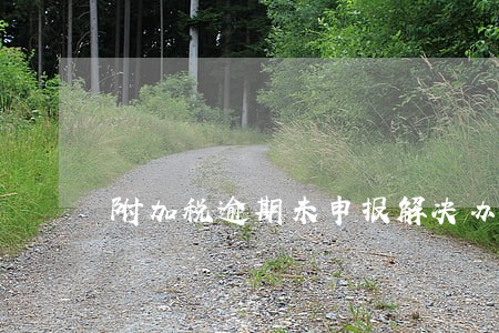 附加税逾期未申报解决办法 附加税逾期未申报解决办法