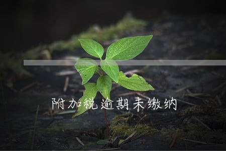 附加税逾期未缴纳 附加税逾期未缴纳