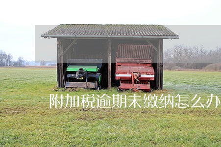 附加税逾期未缴纳怎么办 附加税逾期未缴纳怎么办