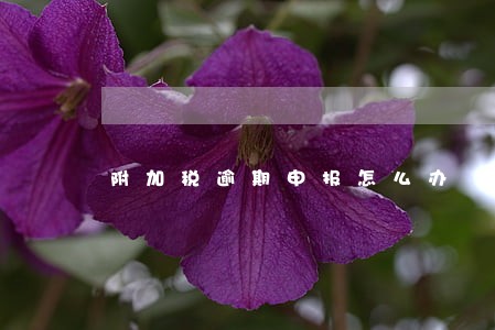 附加税逾期申报怎么办 附加税逾期申报怎么办