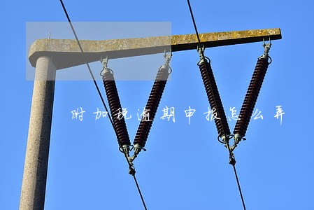 附加税逾期申报怎么弄