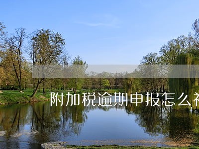 附加税逾期申报怎么补 附加税逾期申报怎么补