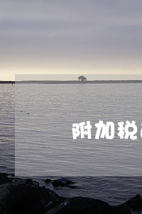 附加税逾期申报怎样网上补申报 附加税逾期申报怎样网上补申报