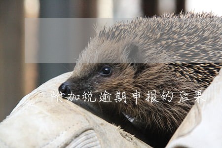 附加税逾期申报的后果 附加税逾期申报的后果