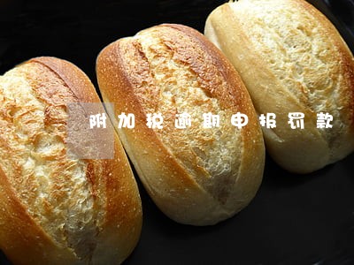 附加税逾期申报罚款 附加税逾期申报罚款