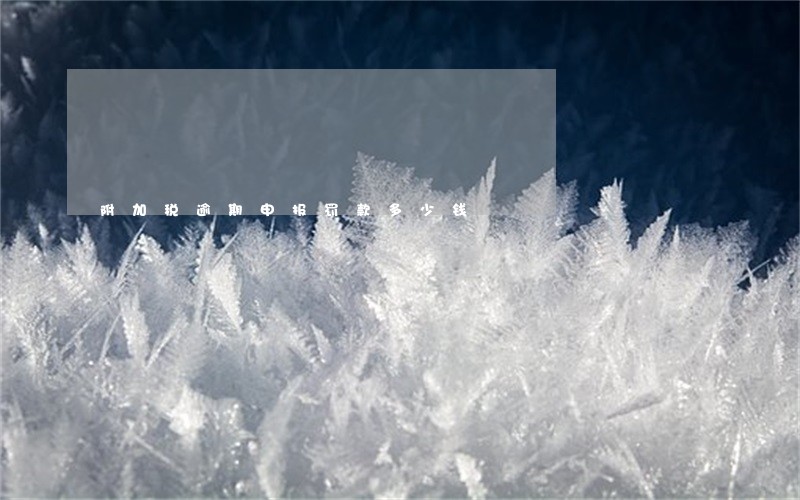 附加税逾期申报罚款多少钱