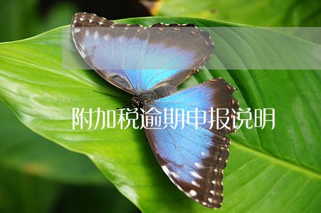 附加税逾期申报说明 附加税逾期申报说明