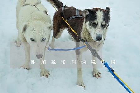 附加税逾期纳税申报 附加税逾期纳税申报
