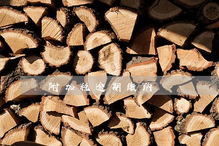附加税逾期缴纳 附加税逾期缴纳