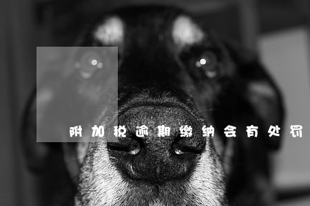 附加税逾期缴纳会有处罚吗 附加税逾期缴纳会有处罚吗
