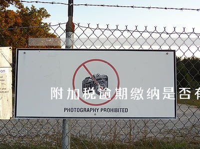 附加税逾期缴纳是否有滞纳金 附加税逾期缴纳是否有滞纳金