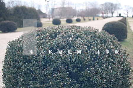 附加税逾期网上补申报 附加税逾期网上补申报