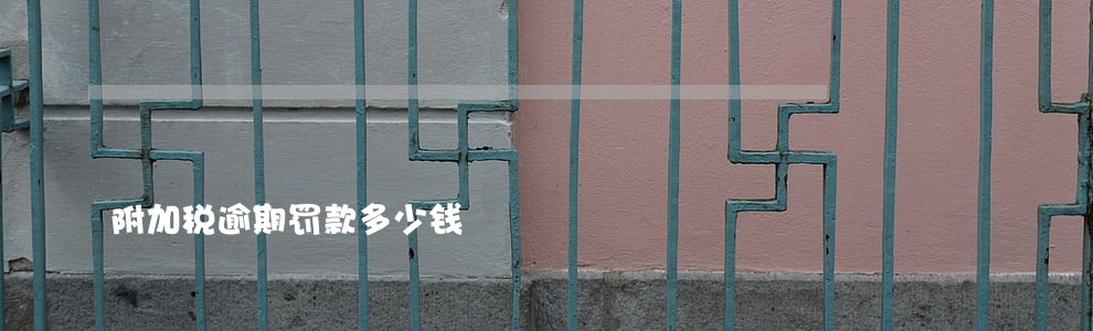 附加税逾期罚款多少钱 附加税逾期罚款多少钱