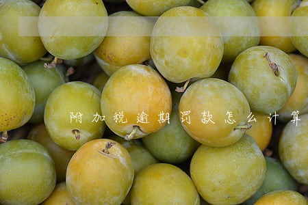 附加税逾期罚款怎么计算 附加税逾期罚款怎么计算