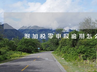附加税零申报逾期怎么办 附加税零申报逾期怎么办