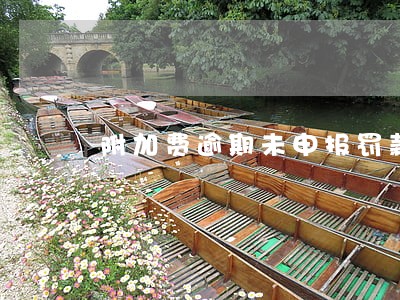 附加费逾期未申报罚款 附加费逾期未申报罚款