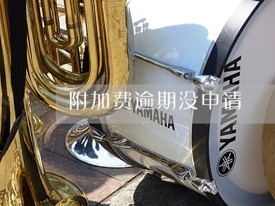 附加费逾期没申请 附加费逾期没申请