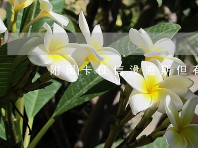 附属卡征信没逾期但有网贷 附属卡征信没逾期但有网贷