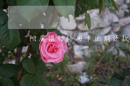 附属银行信用卡逾期还款 附属银行信用卡逾期还款