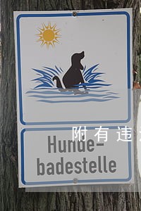 附有违法建筑的房产不予登记 附有违法建筑的房产不予登记