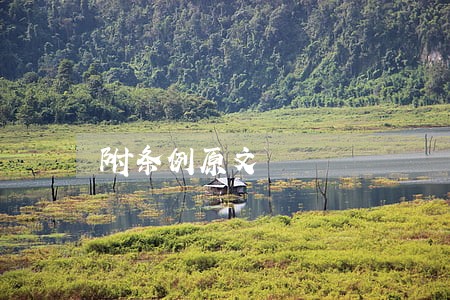 附条例原文 附条例原文