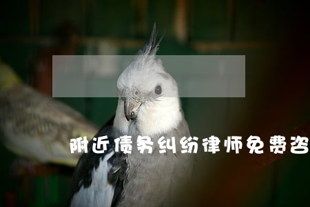 附近债务纠纷律师免费咨询问题 附近债务纠纷律师免费咨询问题