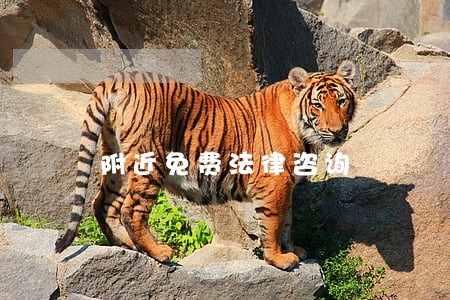 附近免费法律咨询 附近免费法律咨询