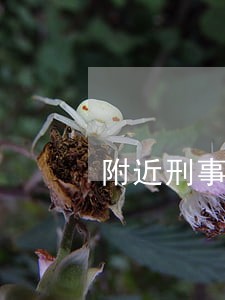 附近刑事律师电话号码 附近刑事律师电话号码