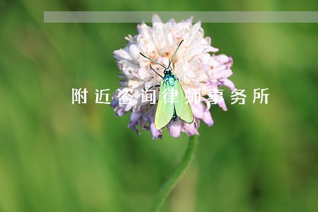 附近咨询律师事务所 附近咨询律师事务所