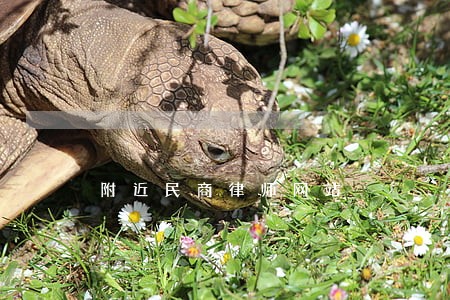 附近民商律师网站 附近民商律师网站