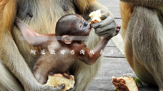 附近法律咨询联系方式 附近法律咨询联系方式
