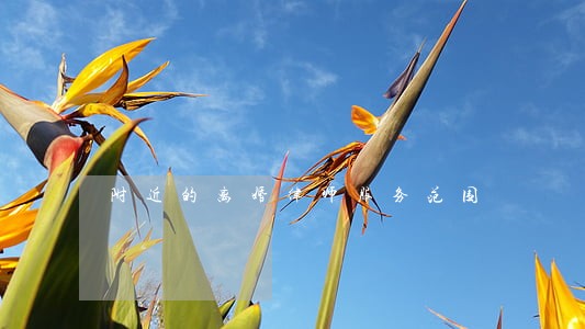 附近的离婚律师服务范围